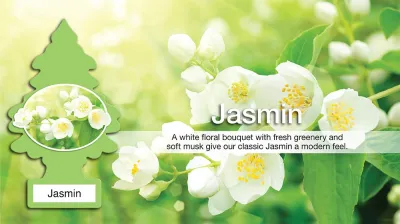 Little Trees Air Freshener, Jasmin (Pack of 6)