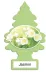 Little Trees Air Freshener, Jasmin (Pack of 6)