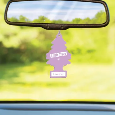 Little Trees Air Freshener, Lavander (Pack of 6)