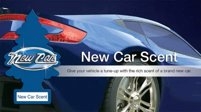 Little Trees Air Freshener, New Car Scent (Pack of 6)