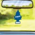 Little Trees Air Freshener, New Car Scent (Pack of 6)