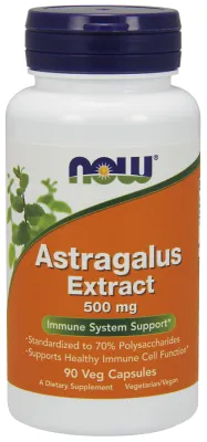 NOW Supplements Astragalus Extract 500 mg - 90 Veg Capsules